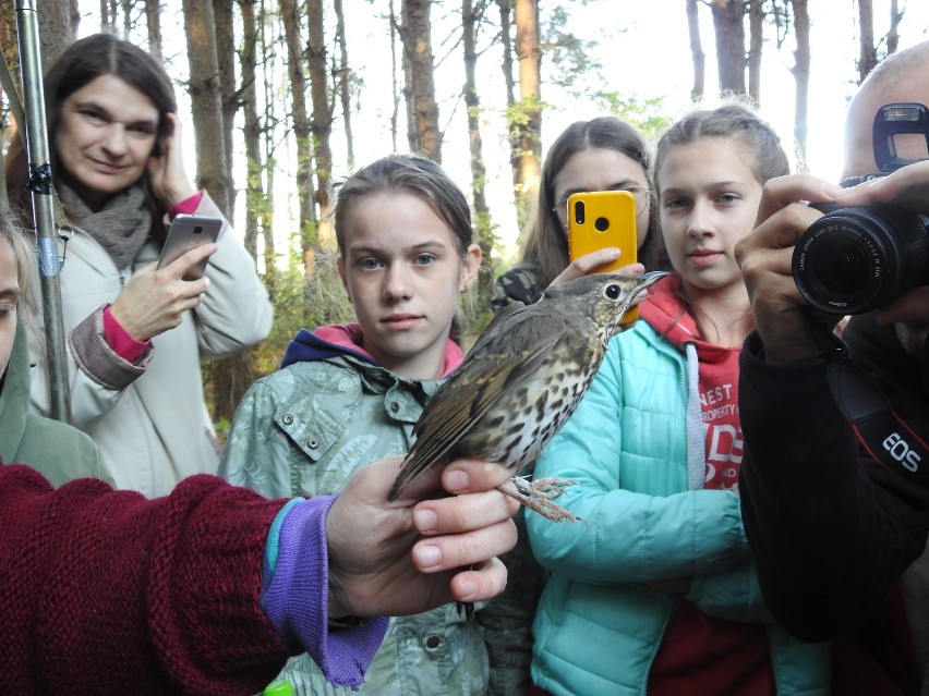 70 ornitologów z powiatu ostrowskiego wzięło udział Akcji...