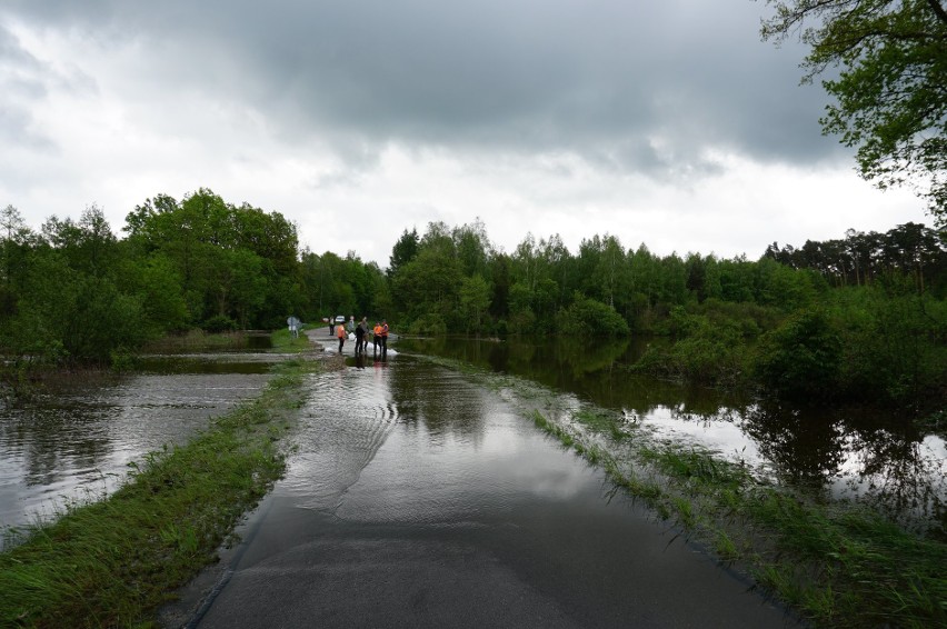 Nadleśnictwo Kolbuszowa informuje: Zabezpieczamy most na rzece Świerczówce [ZDJĘCIA] 