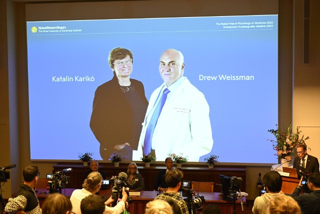 Nagrody Nobla 2023 w dziedzinie medycyny zostały przyznane.