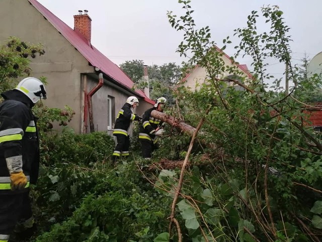 Strażacy podczas usuwania skutków niedzielnej burzy w powiecie ostrowieckim