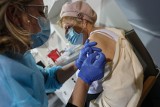 Szczecin zapewnia bezpłatne szczepienia przeciwko grypie dla 65-latków