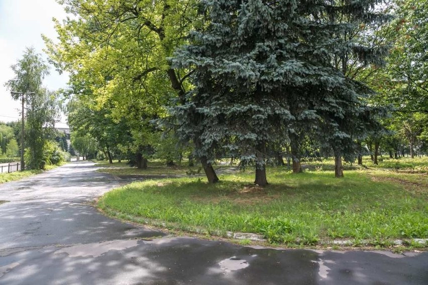 Plaża, fontanna, boiska i food trucki. Taki ma być park na terenie po byłym motelu Krak