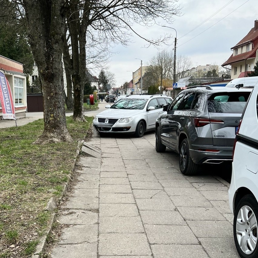 Na trawnikach, przejściach dla pieszych, na chodniku, tam,...