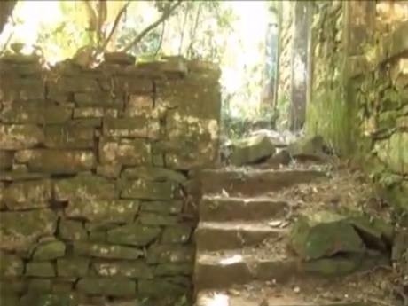 Nazistowskie bunkry w Argentynie? W sercu dżungli odkryto tajemnicze budowle [ZDJĘCIA+VIDEO]