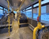 12 milionów złotych dla Żukowa na rozwój komunikacji autobusowej. "Ogromne możliwości"