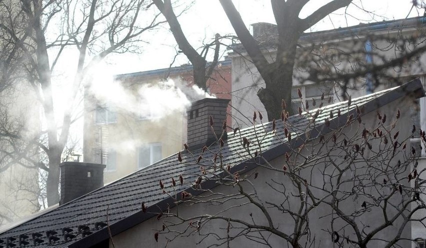 Szczecin znalazł się prawie na końcu stawki w ekorankingu wymiany starych pieców. Na których miejscach uplasowały się inne miasta z regionu?