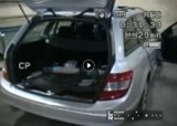 Radomscy policjanci zlikwidowali samochodową dziuplę (zdjęcia, VIDEO)