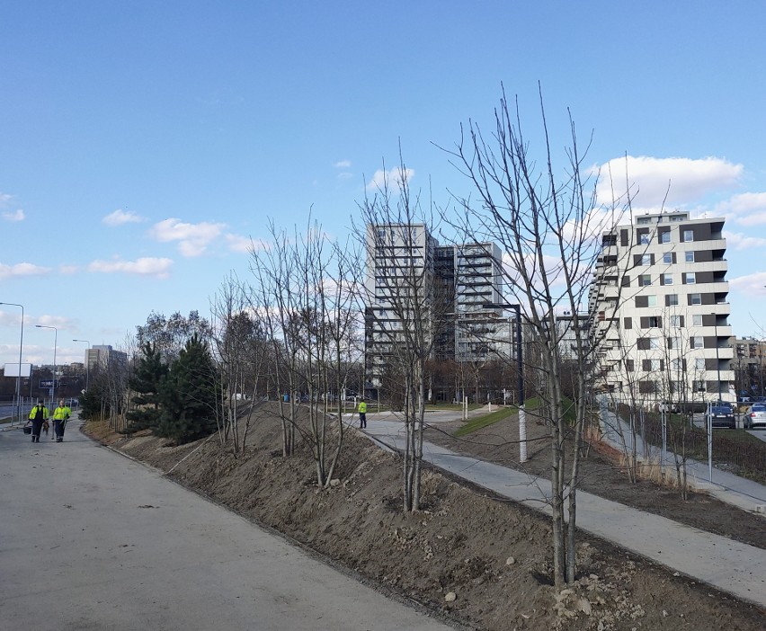 Kraków. Park w Czyżynach prawie gotowy. Mieszkańcy w końcu będą mieli trochę zieleni pod oknami [NOWE ZDJĘCIA]