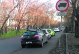 Interwencje "Echa Dnia". Na radomskich Plantach kierowcy źle parkują i utrudniają ruch