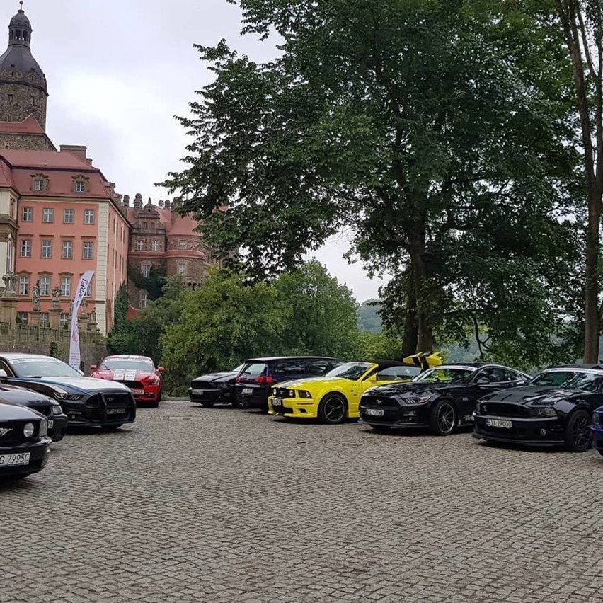 Finał Mustang Race 2018 w Szczecinie. W sobotę 50 super aut przejedzie ulicami miasta 
