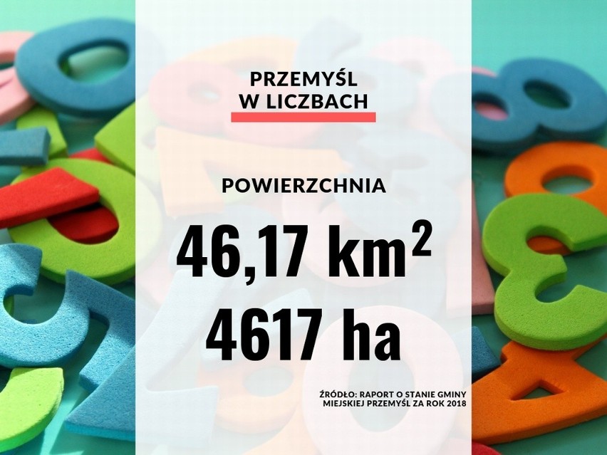 Przemyśl w liczbach, na podstawie danych z "Raportu o stanie...