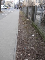 Wiosna w Poznaniu - na ulicach kwitnie brud [ZDJĘCIA]