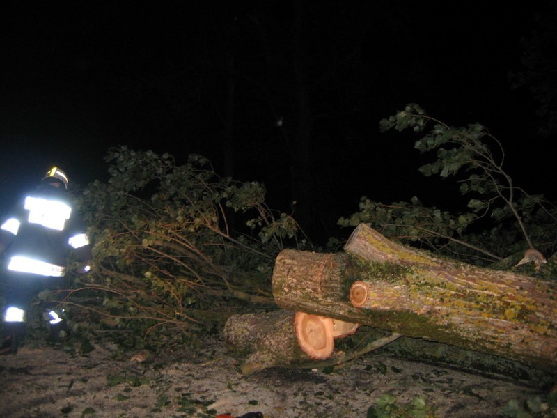 Białogard - Wrzosowo: Powalone drzewa blokowały drogę