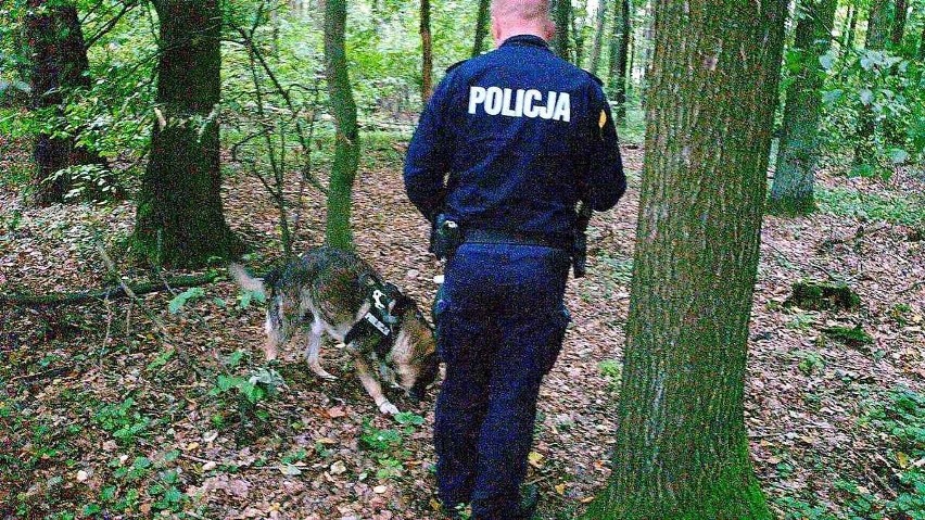 Łódzkie: senior zgubił się podczas... grzybobrania! Zaginionego poszukiwało blisko 100 osób!