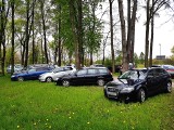 Kraków. Zrobili sobie parking między drzewami