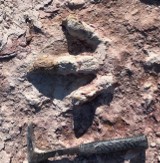 Są ślady dinozaurów pod Borkowicami, ale jest przy tym daleka droga do utworzenia geoparku