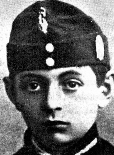 W 1918 roku Antoni Petrykiewicz był uczniem drugiej klasy V Gimnazjum Państwowego we Lwowie.i