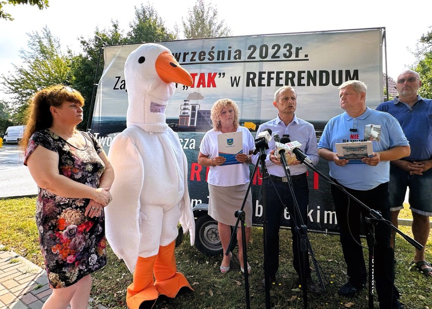 Jaki udział w sprawie referendum ma gęś Pippa?