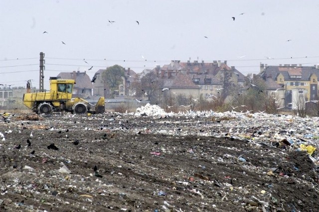 Składowanie śmieci na wysypisku kosztuje miasto 10 mln zł rocznie.