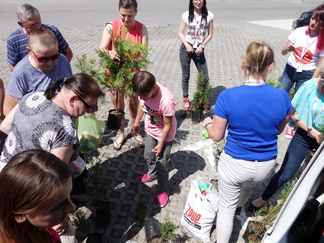 Wolontariusze włoszczowskiej fundacji rozdali ponad 1000 sadzonek drzew w ramach akcji „Zasadź drzewo – podaruj Ziemi oddech”.