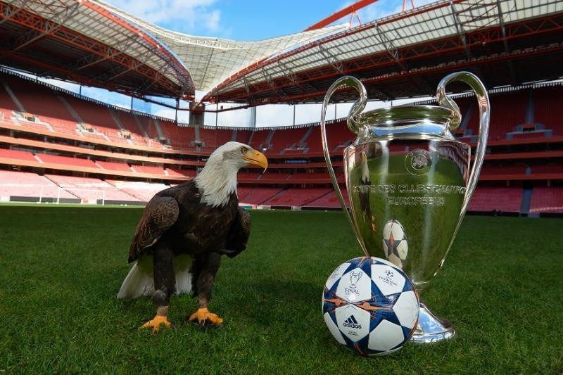 UEFA zaprezentowała oficjalną piłkę fazy grupowej Ligi...