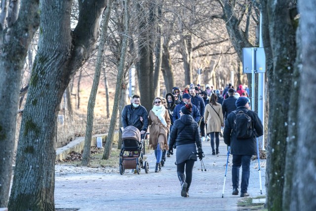 Rzecznik resortu zdrowia poinformował, że "dziś w skali kraju mamy 30,5 zakażenia na 100 tys. mieszkańców". Dla porównania we wtorek mówił, że „mamy województwa powyżej 50 zakażeń".