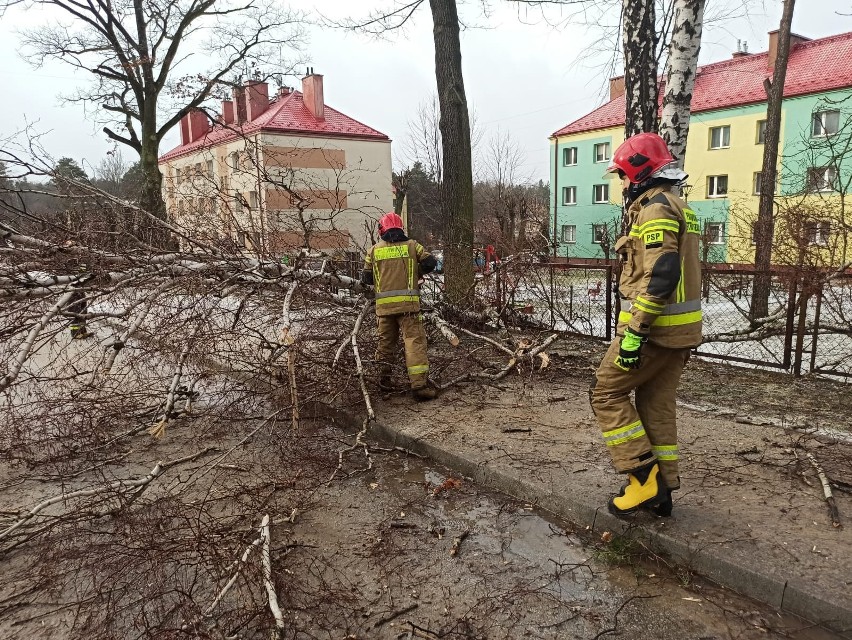 Strażacy usuwają powalone drzewa z ulic Skarżyska. Na...