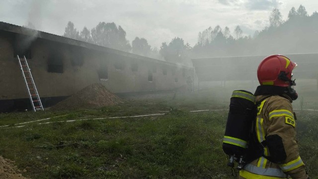 Do ogromnego pożaru kurnika doszło dziś (poniedziałek) w podmiasteckiej Pasiece. W ogniu zginęło kilka tysięcy kur.