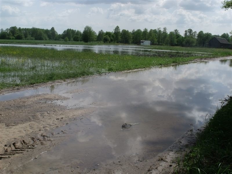 Zalane piwnice, łąki, pola, drogi. Raport z powiatu ostrołęckiego (zdjęcia)