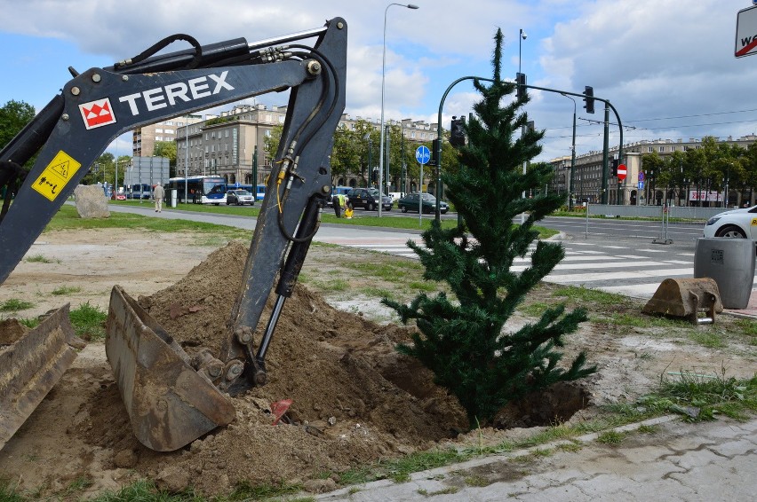 Zasadziliśmy choinkę na pl. Centralnym. Akcja GK i RMF MAXXX [WIDEO, ZDJĘCIA]