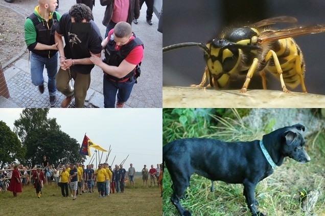 W piątek (28 sierpnia) nowe wydanie tygodnika Głos Bytowa/Miastka (Głos Pomorza), który jest dostępny przez cały tydzień w sklepach i na stacjach paliw. Zapraszamy do lektury.