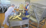 Chojnice. Mleczarnia Spomlek chce być potentatem w produkcji serów salami