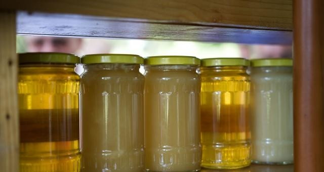 Biesiada Miodowa w Kurowie. Z Białegostoku zawiozą za darmo
