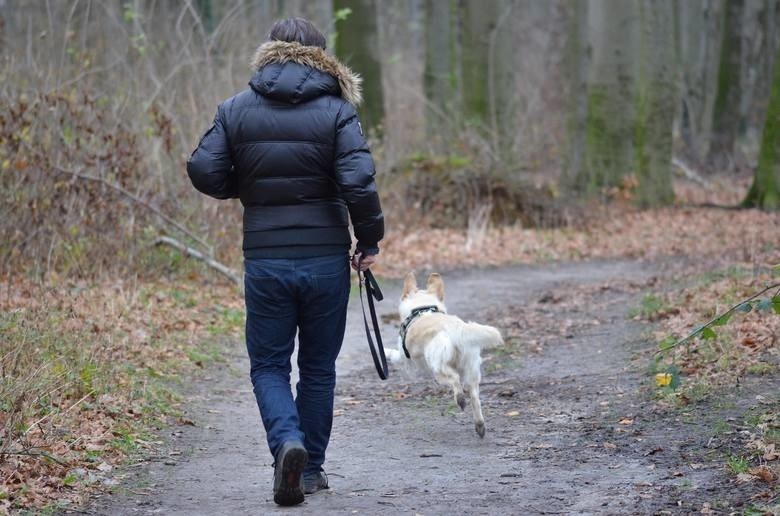 Słupszczanin na kwarantannie potrzebuje pomocy. Chodzi o wyprowadzanie psa i zakupy