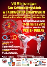 VII Mistrzostw Gór Świętokrzyskich w Taekwondo