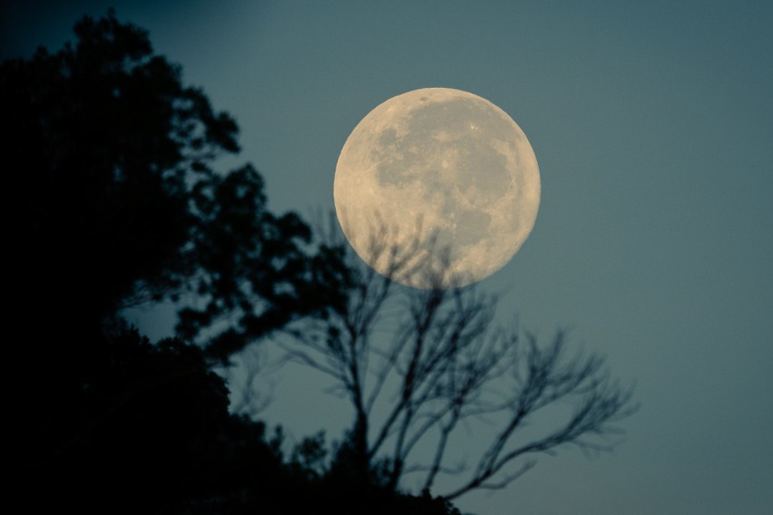 Pełnia Księżyca 2020. Najbliższa pełnia Księżyca w nocy z 1...