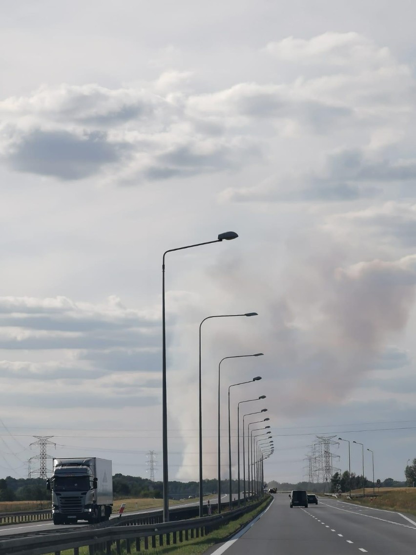Pożar przy autostradzie A4 15.07.2022