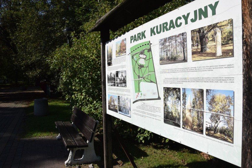 Park Kuracyjny w Ustroniu to miejsce warte odwiedzenia o...