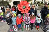 Festiwal Wiatru w Kielcach. Kolorowe wiatraki opanowały kielecki Rynek. Wybrano te najpiękniejsze (ZDJĘCIA)