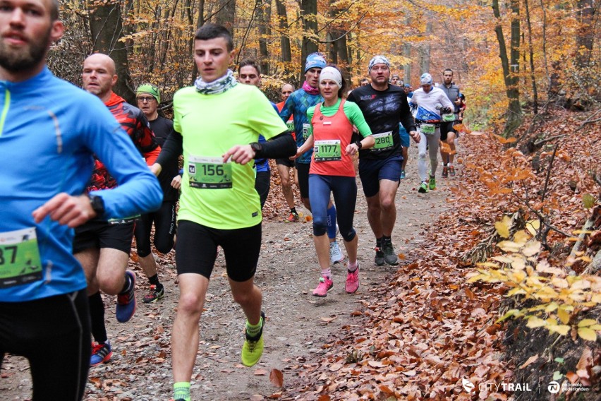 Cykl City Trail to sześć biegów w sezonie na 5-kilometrowej...