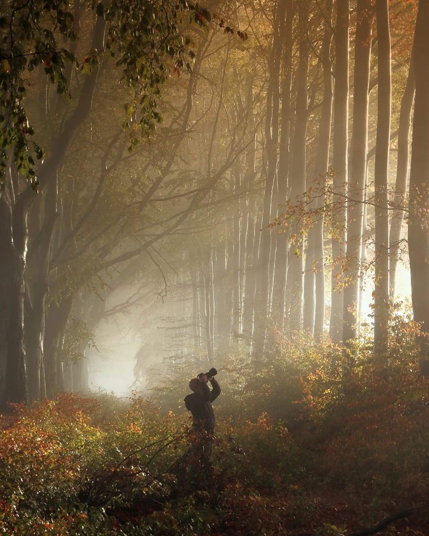 Jaki był rok 2018? Czytelnicy pokazują najlepsze zdjęcie, jakie udało im się wykonać! Piękne fotografie z Pomorza i nie tylko [ZDJĘCIA] 