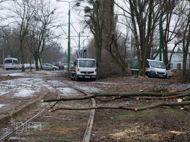 Spółka Poznańskie Inwestycje Miejskie informuje, że rozpoczęte w grudniu ubiegłego roku na pętli Wilczak prace związane z budową linii tramwajowej do Naramowic, przebiegają zgodnie z podpisaną umową i założonym harmonogramem.