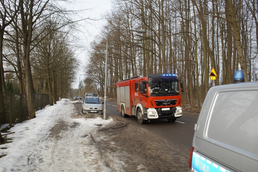 Zaklinowana sarna w ogrodzeniu cmentarza w Słupsku. Na pomoc ruszyli strażacy (ZDJĘCIA)