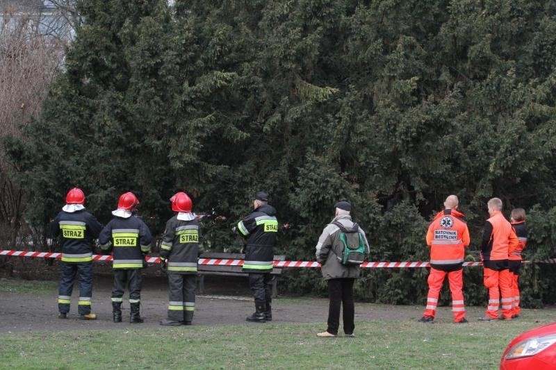 Wrocław: Samobójstwo na rondzie Powstańców Śląskich. Mężczyzna powiesił się na drzewie