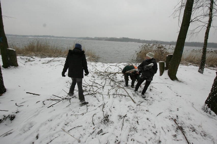 Dąbrowa Górnicza: Nad Pogorią III wyciniają prawie 1000 drzew. Warto było? [ZDJĘCIA]