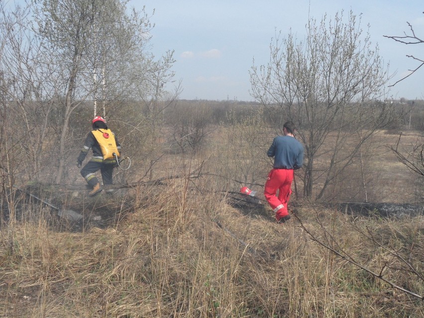 Pożar łąki w Milowicach
