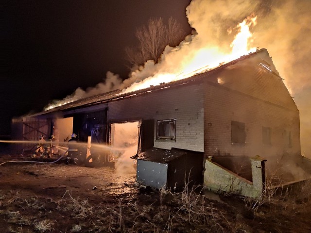 Krzeczkowo Mianowskie. Olbrzymi pożar budynku gospodarczego