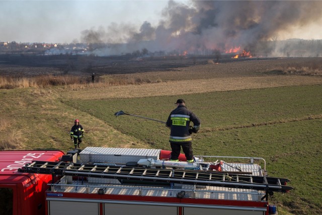 Pożar przy ulicy Kolnej w Krakowie