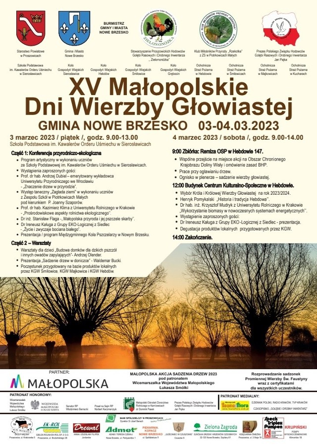 Plakat promujący XV Małopolskie Dni Wierzby Głowiastej