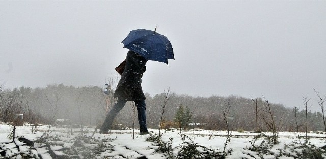 Według prognoz wystąpi silny wiatr wiejący z południowego zachodu i zachodu ze średnią prędkością sięgającą od 25 km/h do 35 km/h, a w porywach do 75 km/h.